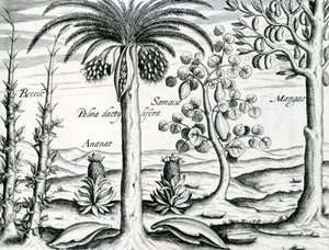 Paysage, Illustration de 